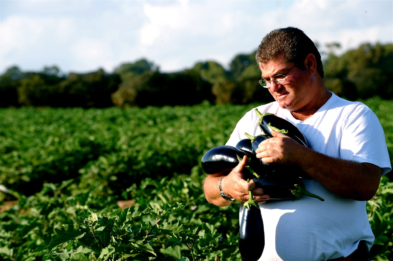 תמונת אודות